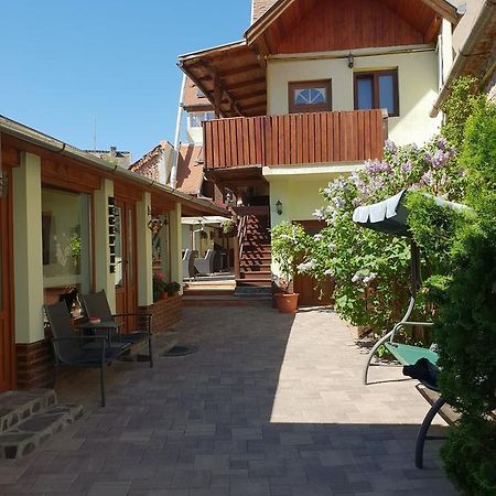Pensiunea Cocosul Rosu Sibiu Luaran gambar