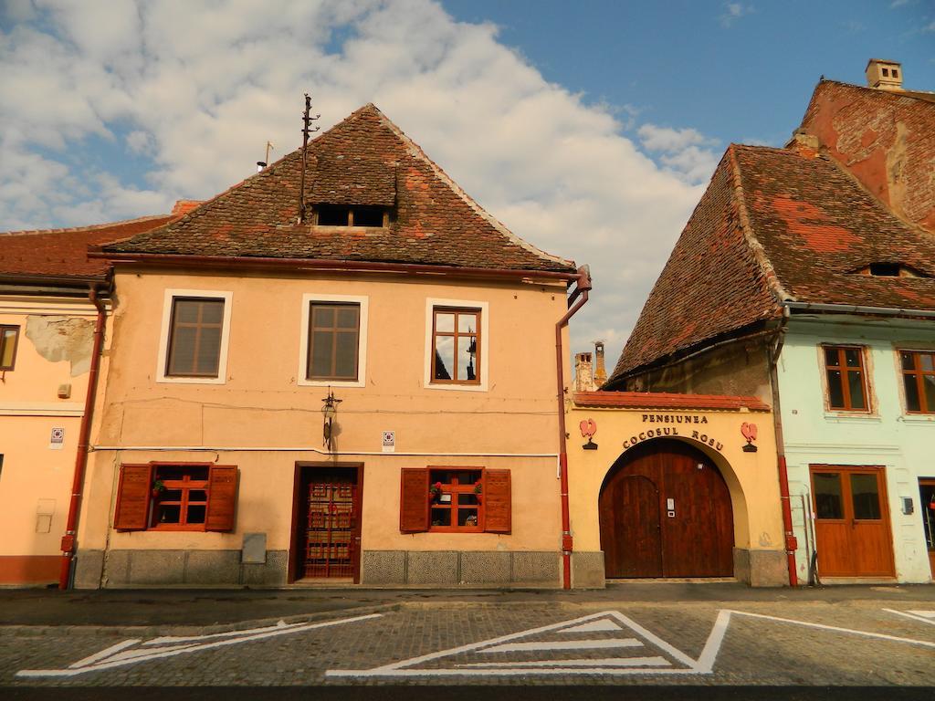 Pensiunea Cocosul Rosu Sibiu Luaran gambar