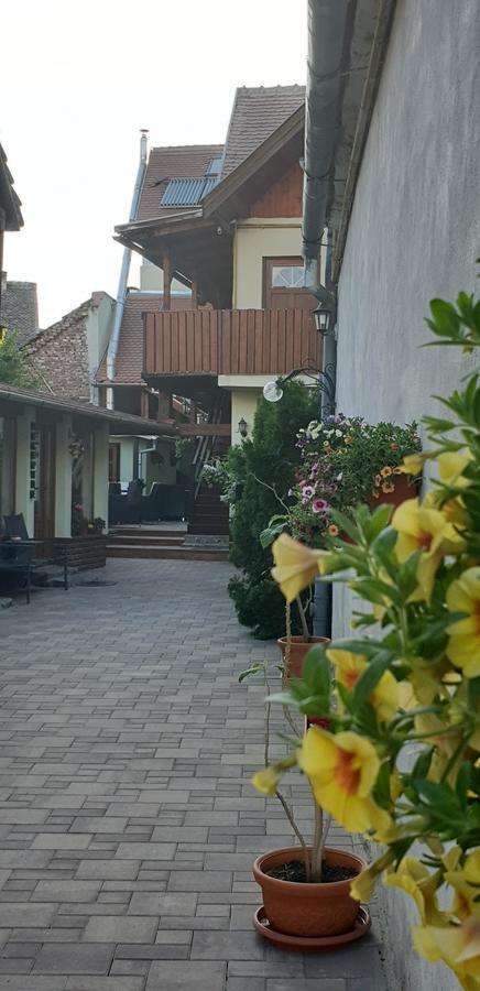 Pensiunea Cocosul Rosu Sibiu Luaran gambar