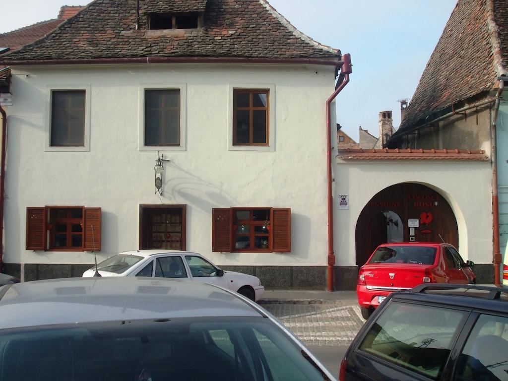 Pensiunea Cocosul Rosu Sibiu Luaran gambar